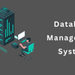 Database System